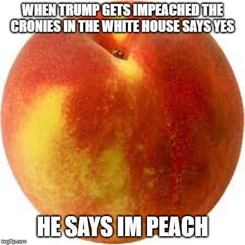 WHEN TRUMP GETS IMPEACHED THE CRONIES IN THE WHITE HOUSE SAYS YES; HE SAYS IM PEACH | image tagged in donald trump | made w/ Imgflip meme maker