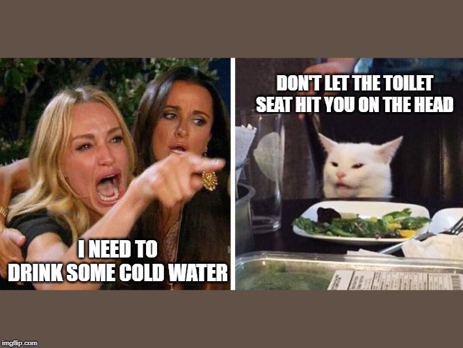 Smudge the cat | DON'T LET THE TOILET SEAT HIT YOU ON THE HEAD; I NEED TO DRINK SOME COLD WATER | image tagged in smudge the cat | made w/ Imgflip meme maker