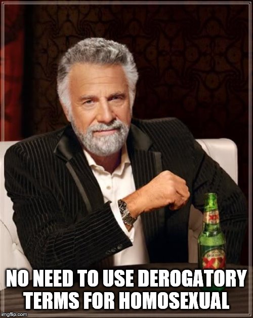 The Most Interesting Man In The World Meme | NO NEED TO USE DEROGATORY TERMS FOR HOMOSEXUAL | image tagged in memes,the most interesting man in the world | made w/ Imgflip meme maker