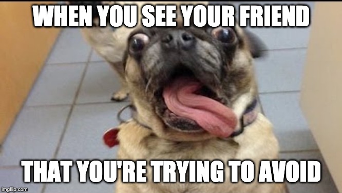 Surprised Pug | WHEN YOU SEE YOUR FRIEND; THAT YOU'RE TRYING TO AVOID | image tagged in surprised pug | made w/ Imgflip meme maker