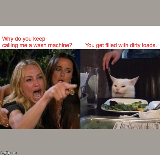 Woman Yelling At Cat | Why do you keep calling me a wash machine? You get filled with dirty loads. | image tagged in memes,woman yelling at cat | made w/ Imgflip meme maker