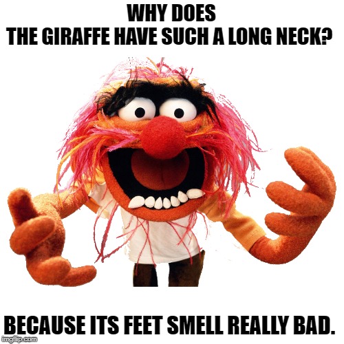 kewlew joke | WHY DOES THE GIRAFFE HAVE SUCH A LONG NECK? BECAUSE ITS FEET SMELL REALLY BAD. | image tagged in joke,kewlew | made w/ Imgflip meme maker