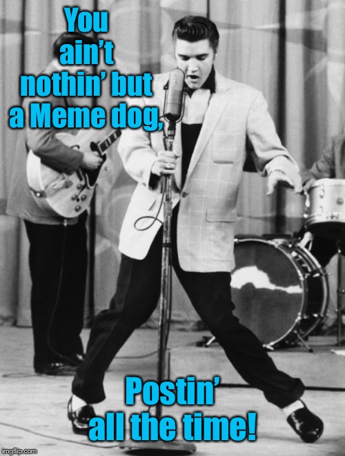 Meme Rock Lyrics: A Drsarcasm event ending Jan 10 | You ain’t nothin’ but a Meme dog, Postin’ all the time! | image tagged in oh no elvis,meme dog,memedog,meme rock lyrics,drsarcasm | made w/ Imgflip meme maker