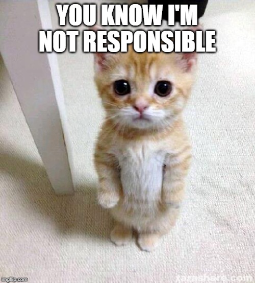 Cute Cat Meme | YOU KNOW I'M NOT RESPONSIBLE | image tagged in memes,cute cat | made w/ Imgflip meme maker