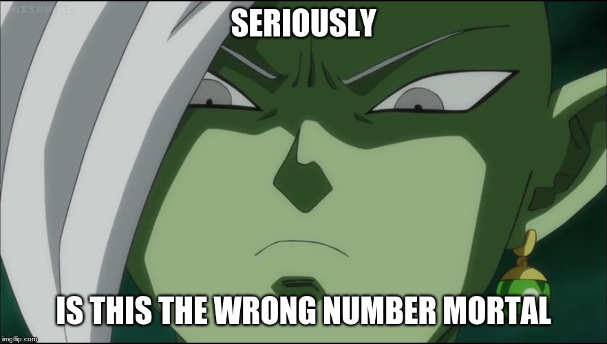 Zamasu Seriously!  | SERIOUSLY IS THIS THE WRONG NUMBER MORTAL | image tagged in zamasu seriously | made w/ Imgflip meme maker