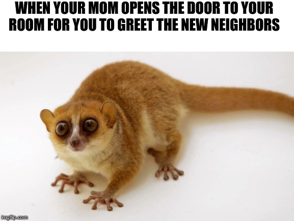 WHEN YOUR MOM OPENS THE DOOR TO YOUR ROOM FOR YOU TO GREET THE NEW NEIGHBORS | image tagged in funny,relatable,home alone,scumbag parents,parents | made w/ Imgflip meme maker