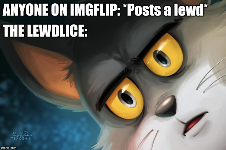 Unsettled Tom Stylized | ANYONE ON IMGFLIP: *Posts a lewd*; THE LEWDLICE: | image tagged in unsettled tom stylized | made w/ Imgflip meme maker