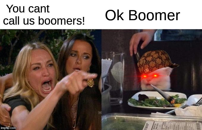 Woman Yelling At Cat | You cant call us boomers! Ok Boomer | image tagged in memes,woman yelling at cat | made w/ Imgflip meme maker