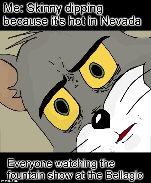 Even the cops that arrested me need therapy afterward | Me: Skinny dipping because it's hot in Nevada; Everyone watching the fountain show at the Bellagio | image tagged in memes,unsettled tom,naked old people,just a joke | made w/ Imgflip meme maker