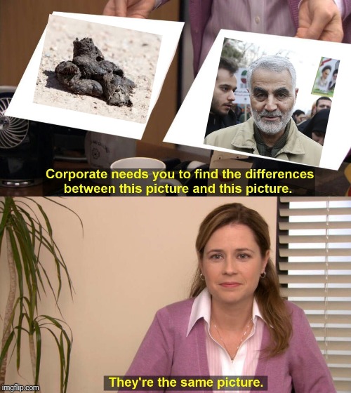 They're the same picture meme | image tagged in they're the same picture meme | made w/ Imgflip meme maker
