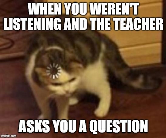 Loading cat | WHEN YOU WEREN'T LISTENING AND THE TEACHER; ASKS YOU A QUESTION | image tagged in loading cat | made w/ Imgflip meme maker