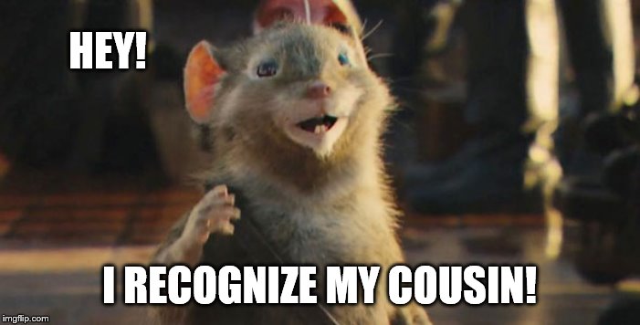HEY! I RECOGNIZE MY COUSIN! | made w/ Imgflip meme maker