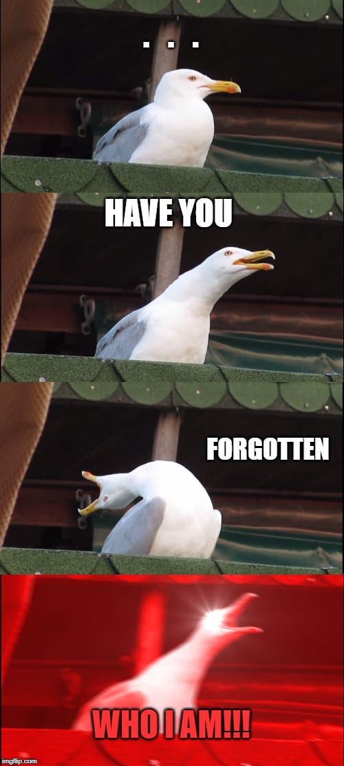 Inhaling Seagull Meme | .   .   . HAVE YOU; FORGOTTEN; WHO I AM!!! | image tagged in memes,inhaling seagull | made w/ Imgflip meme maker