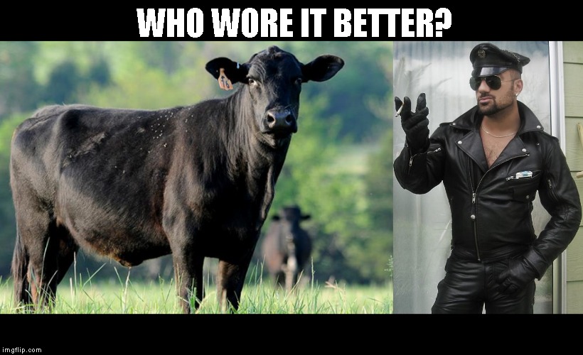 I didn't trust myself with a punchline | WHO WORE IT BETTER? | image tagged in just a joke | made w/ Imgflip meme maker
