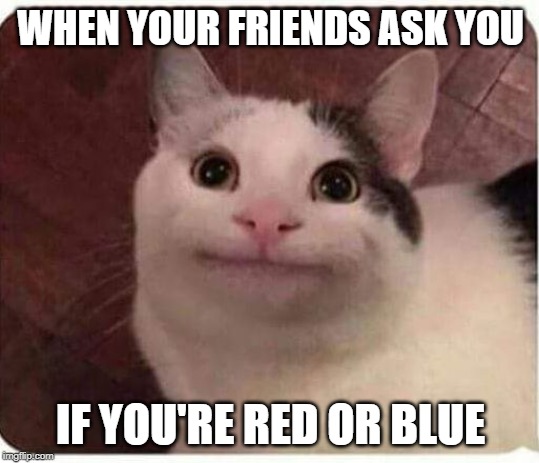 Polite Cat | WHEN YOUR FRIENDS ASK YOU; IF YOU'RE RED OR BLUE | image tagged in polite cat | made w/ Imgflip meme maker