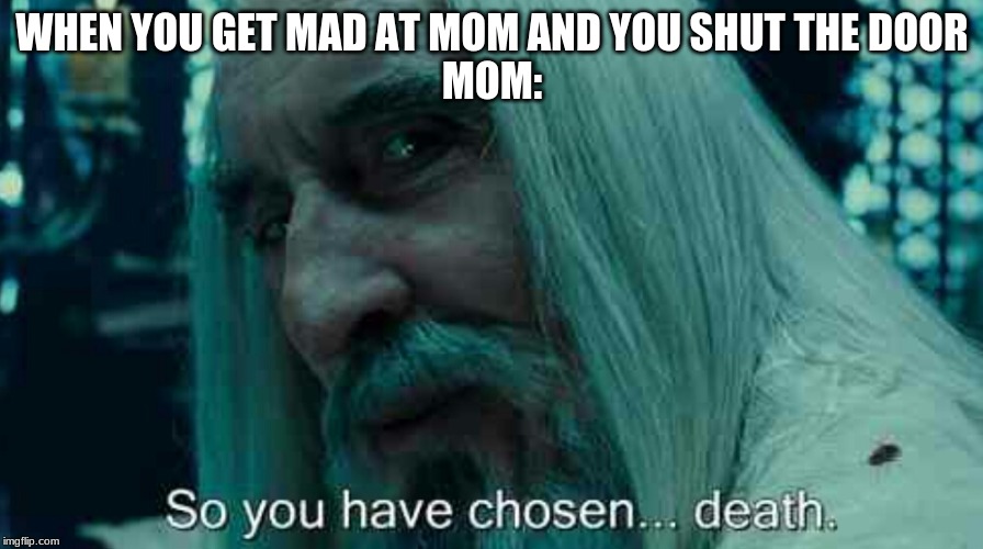 So you have chosen death | WHEN YOU GET MAD AT MOM AND YOU SHUT THE DOOR
MOM: | image tagged in so you have chosen death | made w/ Imgflip meme maker