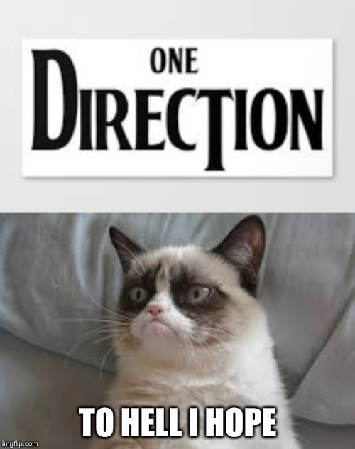 TO HELL I HOPE | image tagged in grumpy cat | made w/ Imgflip meme maker