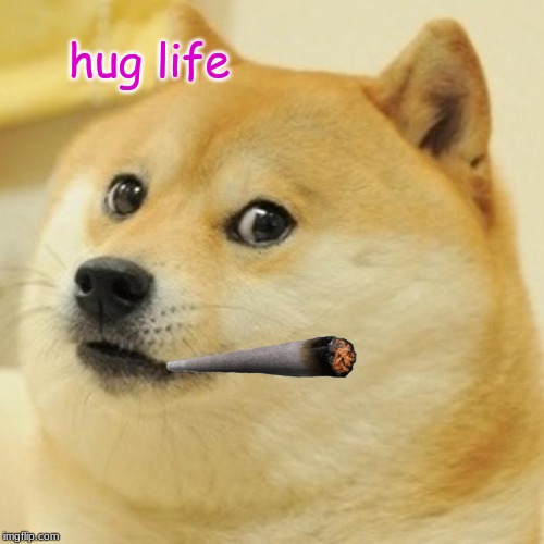 Doge Meme | hug life | image tagged in memes,doge | made w/ Imgflip meme maker