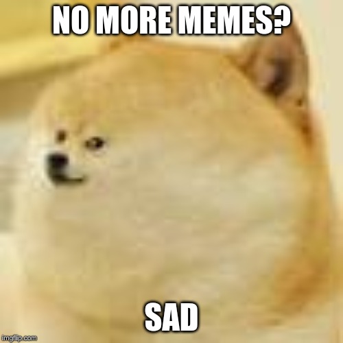 The meme of all memes  | NO MORE MEMES? SAD | image tagged in the meme of all memes | made w/ Imgflip meme maker