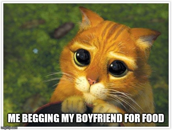 Shrek Cat | ME BEGGING MY BOYFRIEND FOR FOOD | image tagged in memes,shrek cat | made w/ Imgflip meme maker