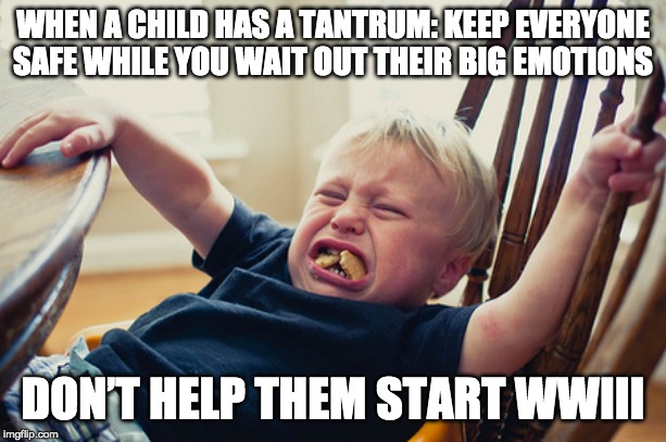 Toddler Tantrum | WHEN A CHILD HAS A TANTRUM: KEEP EVERYONE SAFE WHILE YOU WAIT OUT THEIR BIG EMOTIONS; DON’T HELP THEM START WWIII | image tagged in toddler tantrum | made w/ Imgflip meme maker
