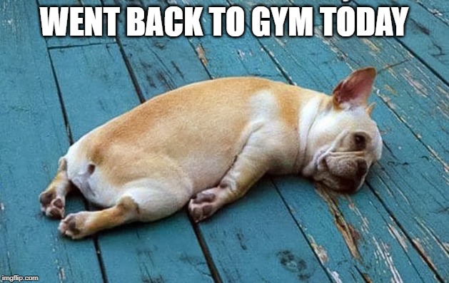 Me today after too many hard days at the gym.  | WENT BACK TO GYM TODAY | image tagged in me today after too many hard days at the gym | made w/ Imgflip meme maker