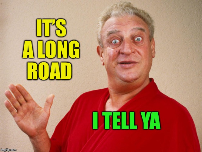 Rodney Dangerfield For Pres | IT’S A LONG ROAD I TELL YA | image tagged in rodney dangerfield for pres | made w/ Imgflip meme maker