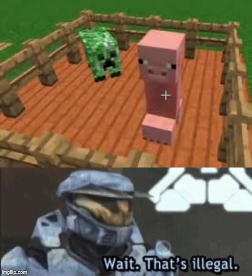 this is beyond illegal | image tagged in wait thats illegal,creeper,pig,minecraft,illegal | made w/ Imgflip meme maker