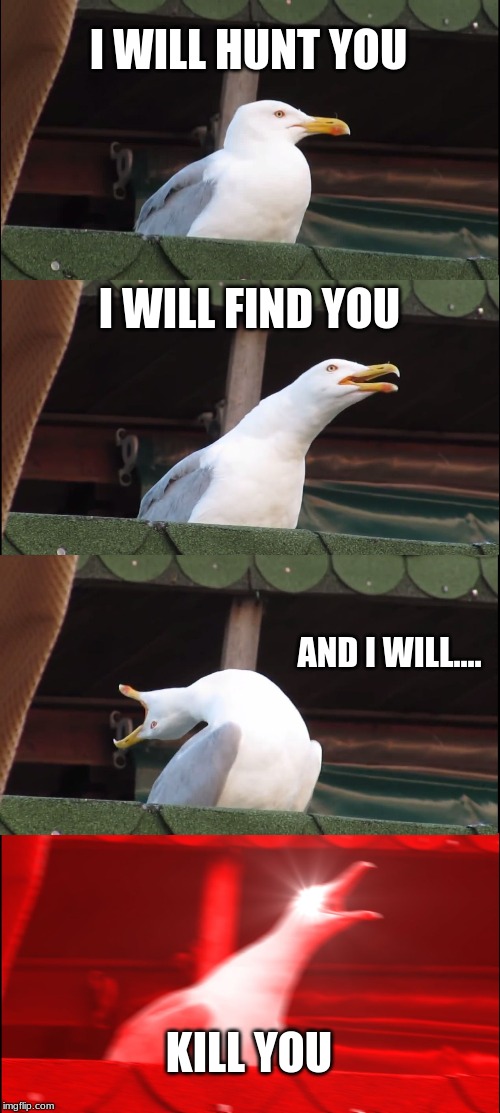 Inhaling Seagull Meme | I WILL HUNT YOU; I WILL FIND YOU; AND I WILL.... KILL YOU | image tagged in memes,inhaling seagull | made w/ Imgflip meme maker