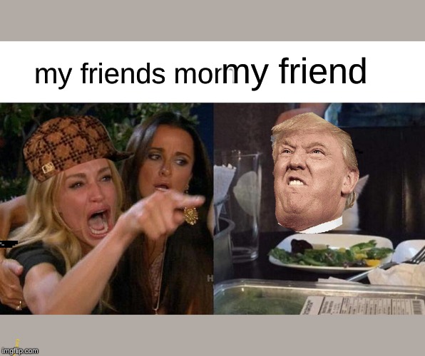 Woman Yelling At Cat Meme | my friend; my friends mom | image tagged in memes,woman yelling at cat | made w/ Imgflip meme maker