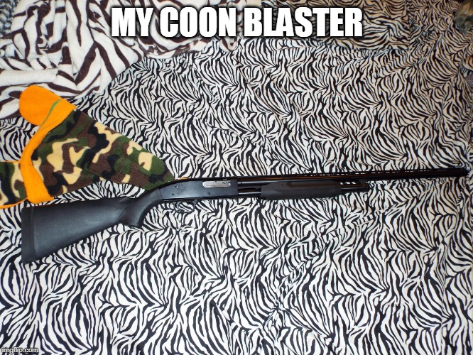 ANYBODY ELSE HUNT COON? | MY COON BLASTER | image tagged in shotgun,raccoon,guns | made w/ Imgflip meme maker