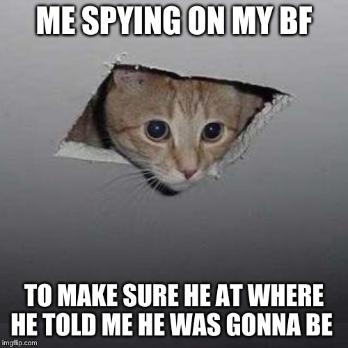 Ceiling Cat Meme | ME SPYING ON MY BF; TO MAKE SURE HE AT WHERE HE TOLD ME HE WAS GONNA BE | image tagged in memes,ceiling cat | made w/ Imgflip meme maker