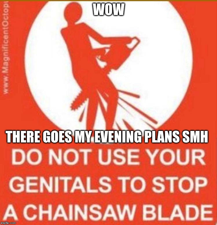 WOW; THERE GOES MY EVENING PLANS SMH | image tagged in chainsaw,balls,guy,nsfw,diy fails | made w/ Imgflip meme maker