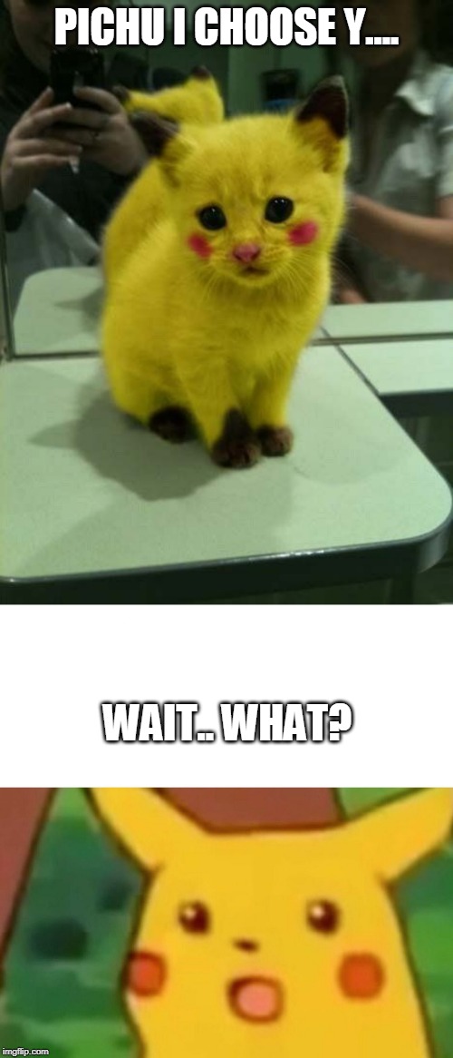 PICHU I CHOOSE Y.... WAIT.. WHAT? | image tagged in memes,surprised pikachu,pokemon,pichu,cats | made w/ Imgflip meme maker