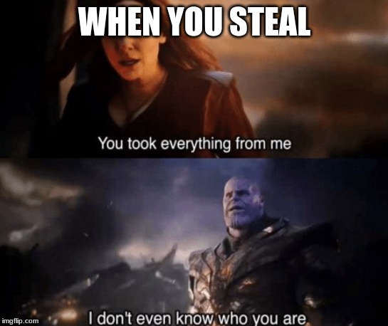 you took everything from me | WHEN YOU STEAL | image tagged in you took everything from me | made w/ Imgflip meme maker