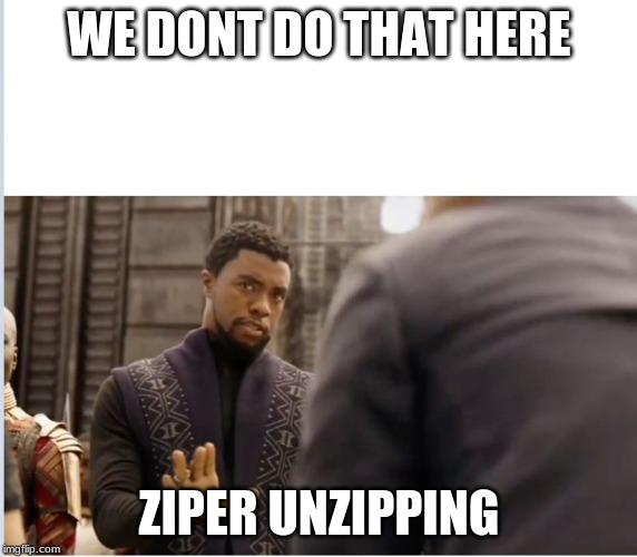 We don't do that here | WE DONT DO THAT HERE; ZIPER UNZIPPING | image tagged in we don't do that here | made w/ Imgflip meme maker