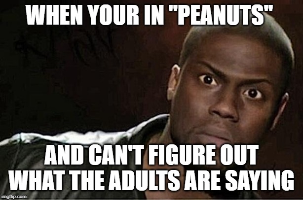 Kevin Hart | WHEN YOUR IN ''PEANUTS''; AND CAN'T FIGURE OUT WHAT THE ADULTS ARE SAYING | image tagged in memes,kevin hart | made w/ Imgflip meme maker