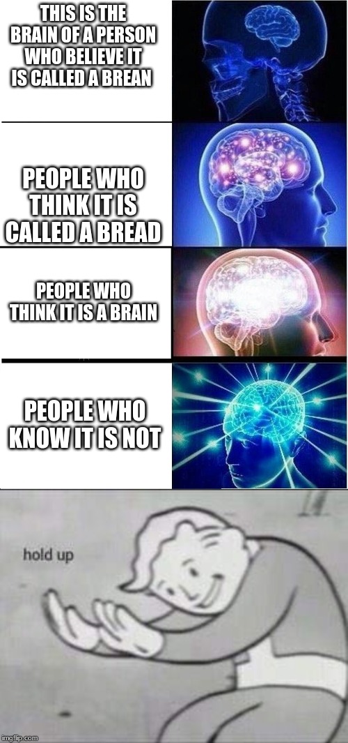 THIS IS THE BRAIN OF A PERSON WHO BELIEVE IT IS CALLED A BREAN; PEOPLE WHO THINK IT IS CALLED A BREAD; PEOPLE WHO THINK IT IS A BRAIN; PEOPLE WHO KNOW IT IS NOT | image tagged in memes,expanding brain,fallout hold up | made w/ Imgflip meme maker