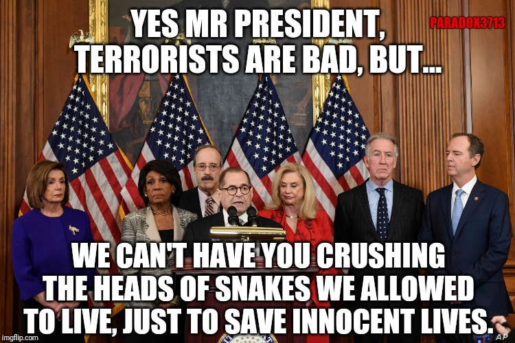 Killing Terrorists is apparently not a good thing now? | PARADOX3713; YES MR PRESIDENT, TERRORISTS ARE BAD, BUT... WE CAN'T HAVE YOU CRUSHING THE HEADS OF SNAKES WE ALLOWED TO LIVE, JUST TO SAVE INNOCENT LIVES. | image tagged in memes,trump,payback,democrats,iran,terrorism | made w/ Imgflip meme maker