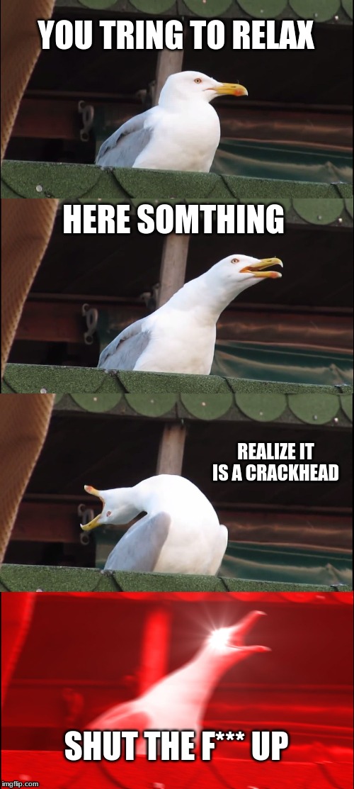 Inhaling Seagull Meme | YOU TRING TO RELAX; HERE SOMTHING; REALIZE IT IS A CRACKHEAD; SHUT THE F*** UP | image tagged in memes,inhaling seagull | made w/ Imgflip meme maker