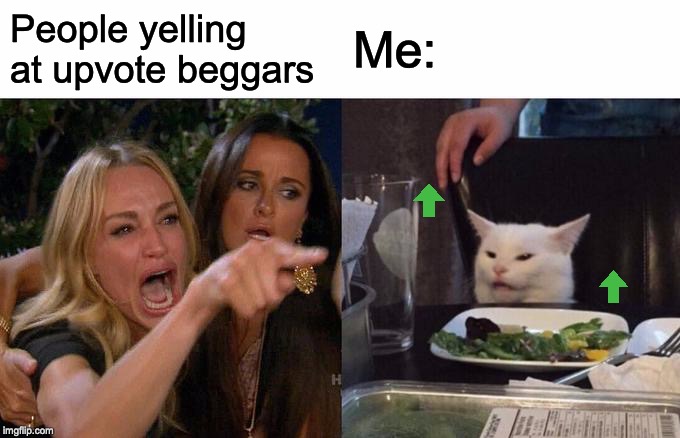Woman Yelling At Cat Meme | People yelling at upvote beggars; Me: | image tagged in memes,woman yelling at cat | made w/ Imgflip meme maker