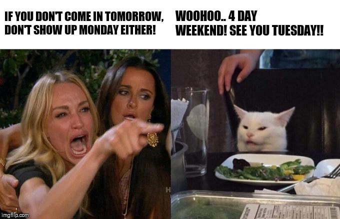 Woman Yelling At Cat | IF YOU DON'T COME IN TOMORROW, DON'T SHOW UP MONDAY EITHER! WOOHOO.. 4 DAY WEEKEND! SEE YOU TUESDAY!! | image tagged in memes,woman yelling at cat | made w/ Imgflip meme maker