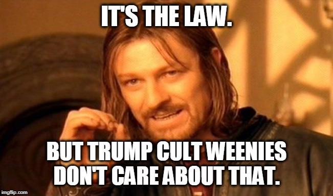 One Does Not Simply Meme | IT'S THE LAW. BUT TRUMP CULT WEENIES DON'T CARE ABOUT THAT. | image tagged in memes,one does not simply | made w/ Imgflip meme maker