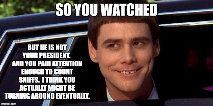 dumb and dumber | SO YOU WATCHED BUT HE IS NOT YOUR PRESIDENT.  AND YOU PAID ATTENTION ENOUGH TO COUNT SNIFFS.  I THINK YOU ACTUALLY MIGHT BE TURNING AROUND E | image tagged in dumb and dumber | made w/ Imgflip meme maker