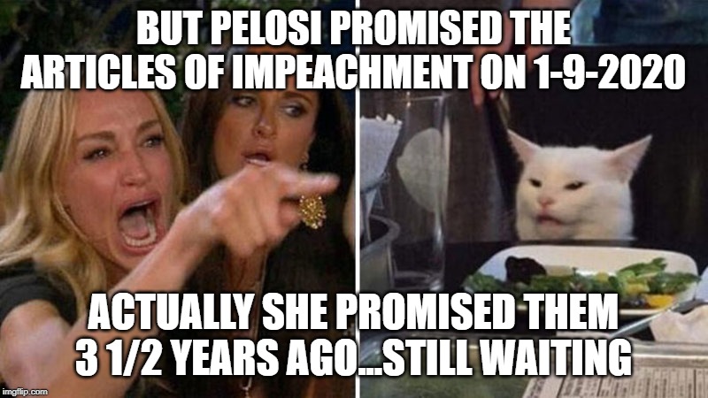 Woman yelling at white cat | BUT PELOSI PROMISED THE ARTICLES OF IMPEACHMENT ON 1-9-2020; ACTUALLY SHE PROMISED THEM 3 1/2 YEARS AGO...STILL WAITING | image tagged in woman yelling at white cat | made w/ Imgflip meme maker