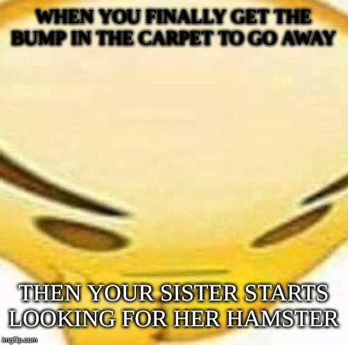 HMMMMMMM | WHEN YOU FINALLY GET THE BUMP IN THE CARPET TO GO AWAY; THEN YOUR SISTER STARTS LOOKING FOR HER HAMSTER | image tagged in hmmmmmmm | made w/ Imgflip meme maker