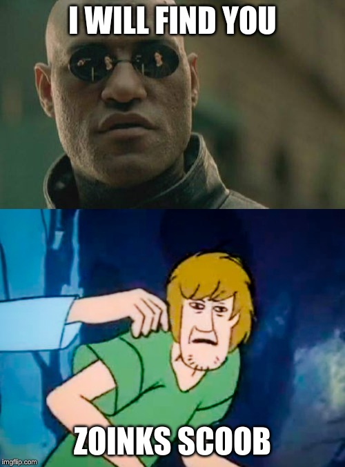 I WILL FIND YOU; ZOINKS SCOOB | image tagged in memes,matrix morpheus,shaggy meme | made w/ Imgflip meme maker