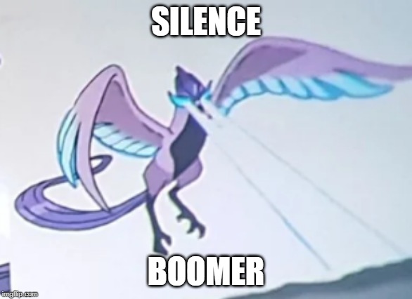 Silence Boomer Arcticuno | SILENCE; BOOMER | image tagged in pokemon,pokemon sword and shield,boomer | made w/ Imgflip meme maker