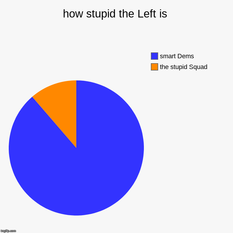 how stupid the Left is | the stupid Squad, smart Dems | image tagged in charts,pie charts | made w/ Imgflip chart maker
