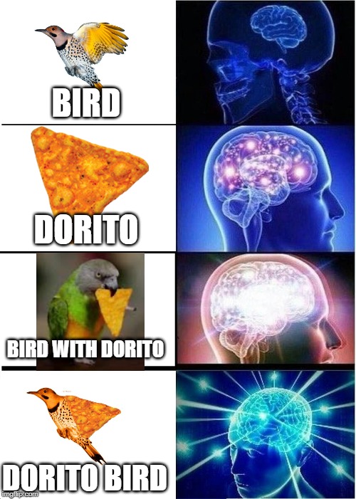 Dorito Birds are supreme | BIRD; DORITO; BIRD WITH DORITO; DORITO BIRD | image tagged in memes,expanding brain,dorito bird | made w/ Imgflip meme maker